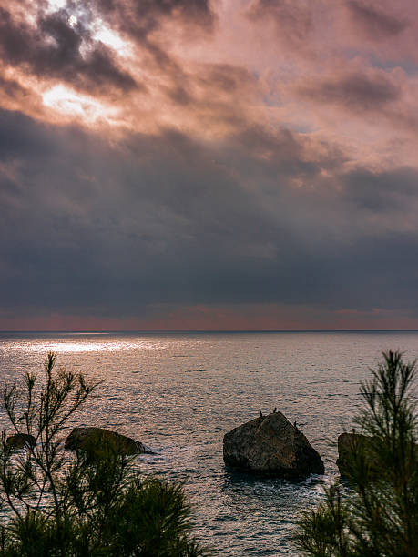 istock Cliffs with cormorants after the storm 627888200