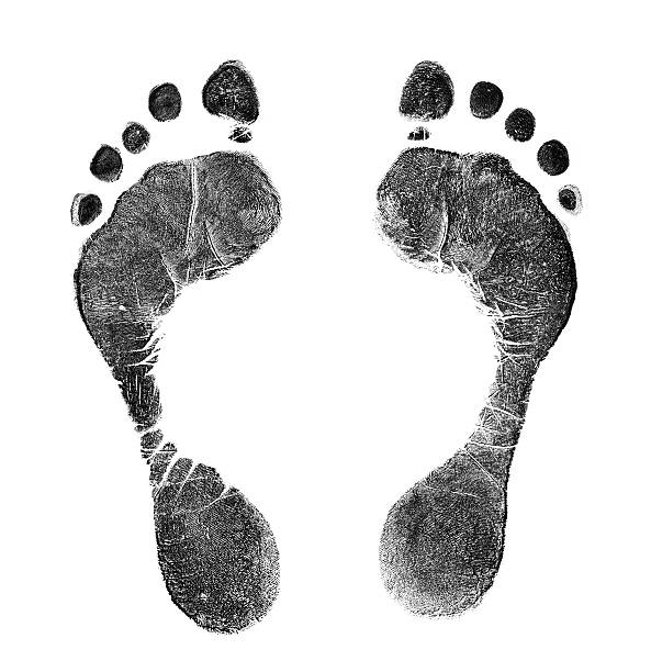 Black footprint. Isolated on white. stock photo