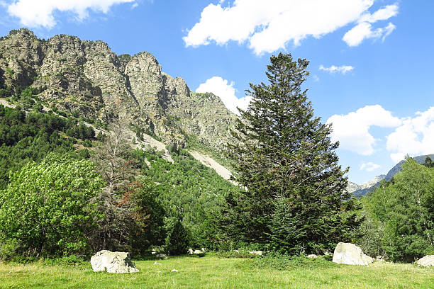 istock Aiguestortes National Park in the Catalan Pyrenees, Spain 627890752