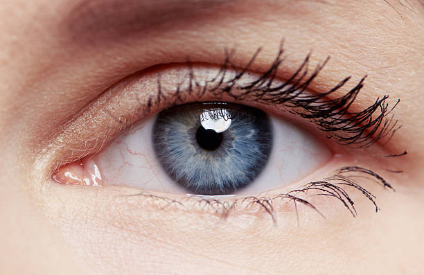 istock Macro shot of female eye 627902968