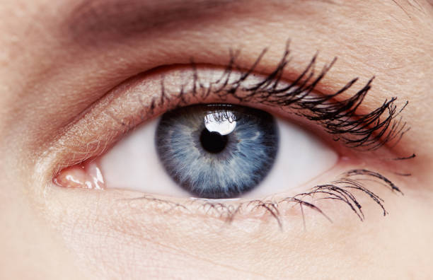 istock Macro shot of female eye 627903032