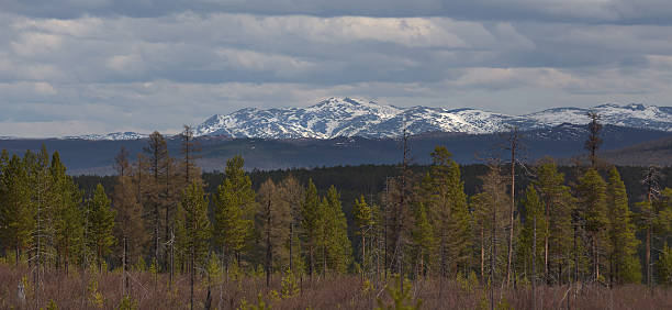 istock snow-covered mountains with green forest 627908258