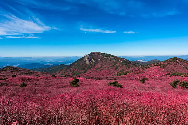 Biseulsan National Park The best Image of landscape Mountain flower and autumn in South Korea.