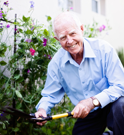Alegremente activo hombre de 90 años de edad, sonriente trabaja en su jardín photo