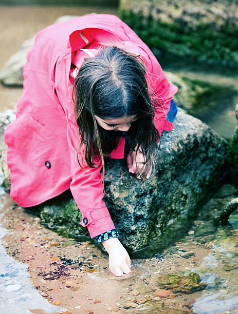 istock pretty girl playing on a rock at the water's edge 627914874