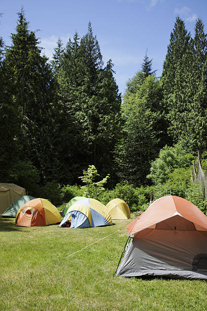 istock Tent Camping in the forest 627915236