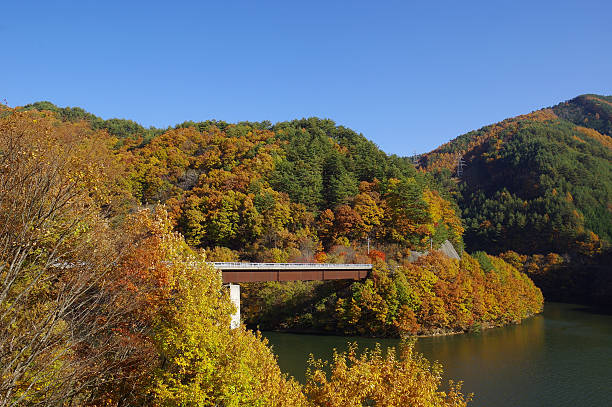istock Autumn leaves on the lakeside 627917424