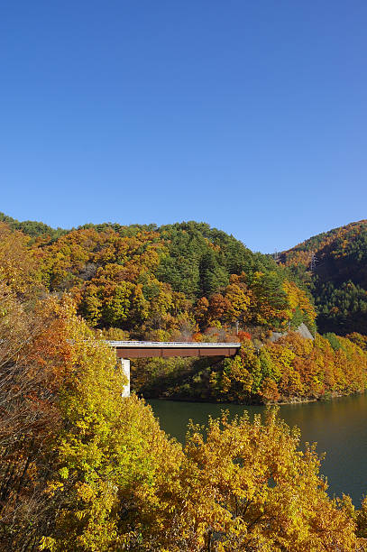 istock Autumn leaves on the lakeside 627917618