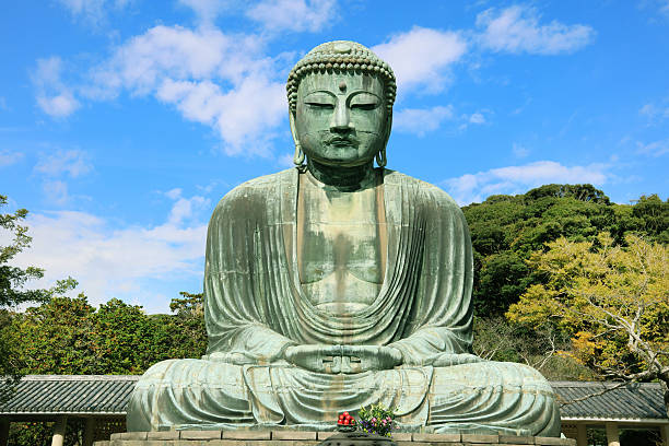 The Great Buddha of Kamakura (Kamakura Daibutsu) 'Kamakura, Japan - NOV 26, 2015: Originally housed in a hall that was destroyed twice in the 14th Century, the great Buddha at Kotoku-in Temple dates from 1252 during the Kamakura Period.' kamakura city photos stock pictures, royalty-free photos & images