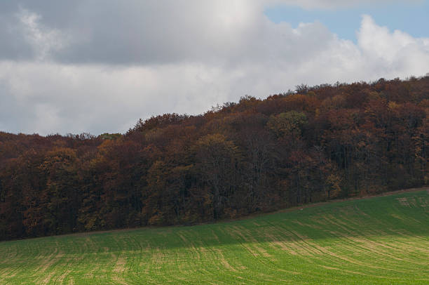 istock autumn field in Poland 627919986