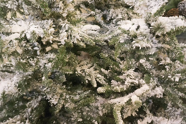 istock winter fir branch in snow. background selective focus 627920258