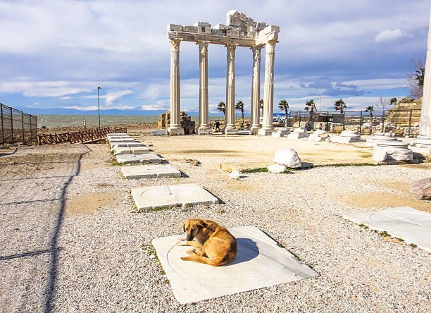 istock Apollo Temple in Side town. Turkey. Asia Minor 627931404