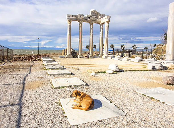 istock Apollo Temple in Side town. Turkey. Asia Minor 627931574