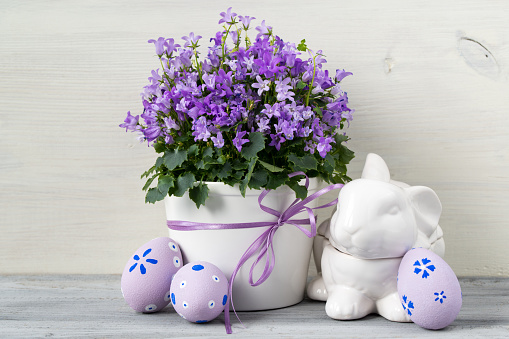 Beautiful easter decoration with Campanula flowers, Easter eggs and ceramic rabbit, on white wooden background