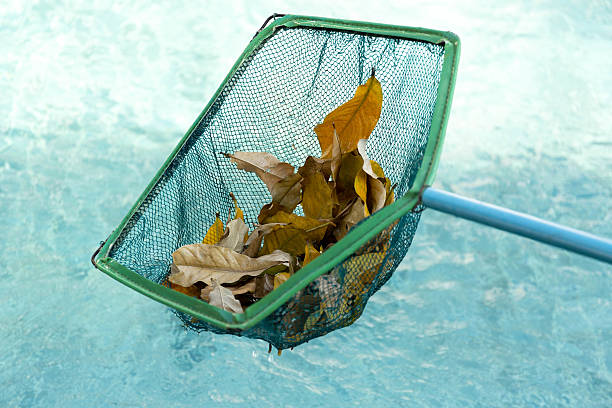 istock Cleaning swimming pool of fall leaves with cleaning net 627932520