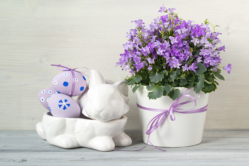 Easter decorations with rabbit full of easter eggs and a pot of spring flowers on a white wooden background