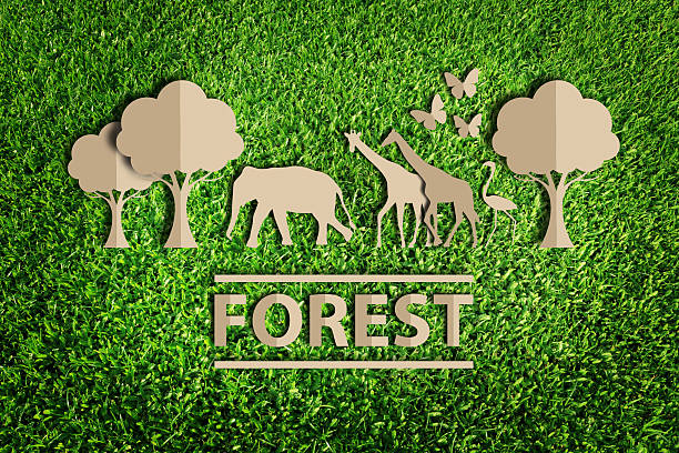 istock Forest - Paper cut of eco on green grass 627934646
