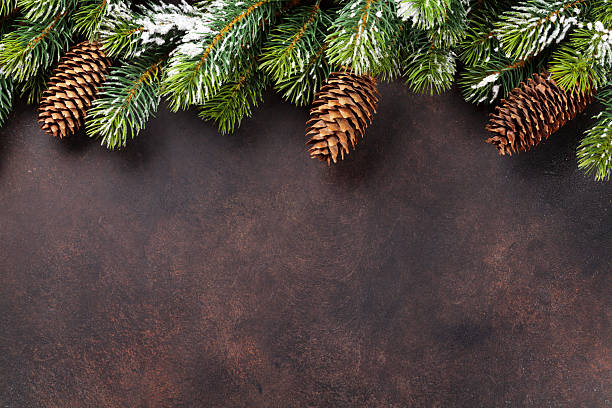istock Christmas background with snow fir tree 627934688
