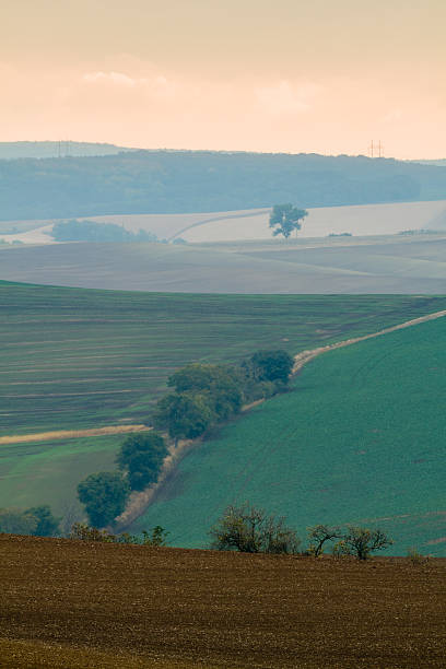 istock Incredible patterns on waved fields of South Moravia. 627940206