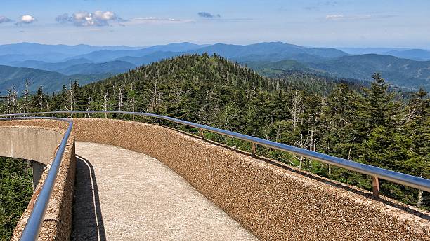 istock Clingmans Dome , Great Smoky Mountains National Park 627940390
