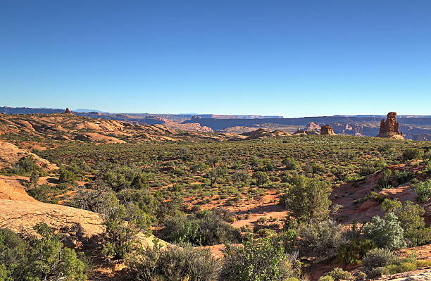 istock Canyonlands Vista 627940504