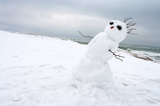 istock crazy, melting snowman on a winter beach 627940892