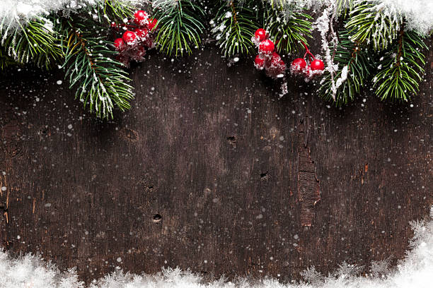 istock Christmas fir tree and holly berry 627941176