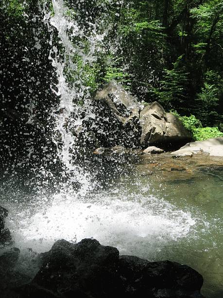 grotto falls hiking trail waterfall, parque nacional smoky mountain, tennessee - grotto falls fotografías e imágenes de stock