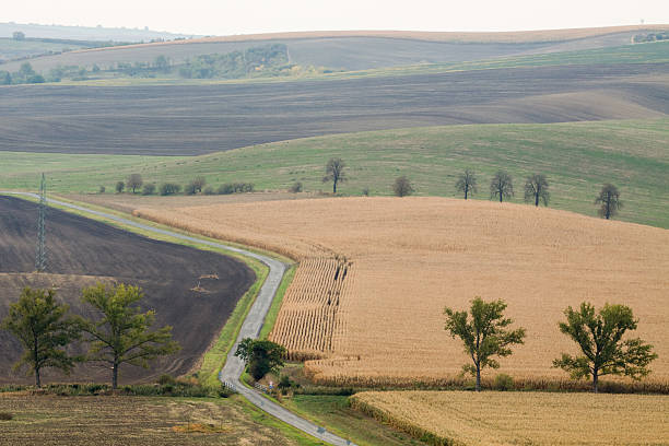 istock Incredible patterns on waved fields of South Moravia. 627943912