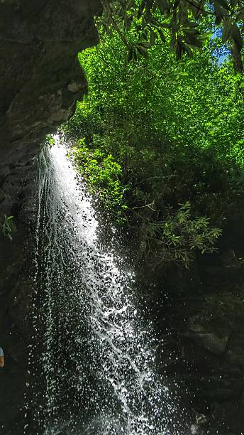 洞窟の滝ハイキングトレイル滝、スモーキーマウンテン国立公園、テネシー州 - grotto falls ストックフォトと画像