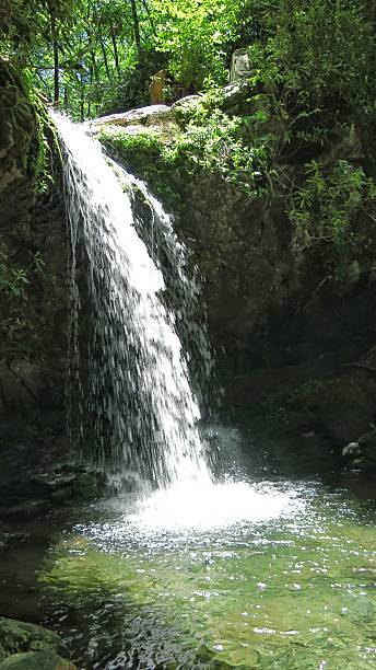 grotto falls hiking trail waterfall, parque nacional smoky mountain, tennessee - grotto falls fotografías e imágenes de stock