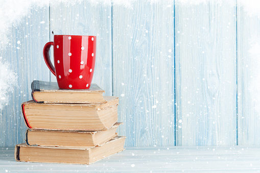 Hot chocolate cup on books. Christmas. View with copy space