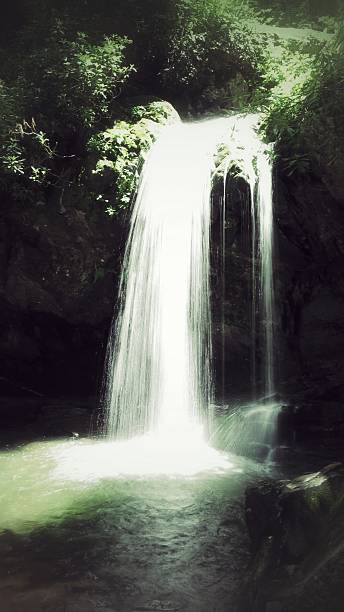 grotto falls hiking trail waterfall, parque nacional smoky mountain, tennessee - grotto falls fotografías e imágenes de stock