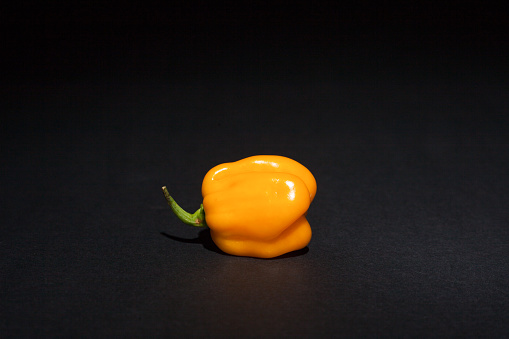 Yellow pepper. Fresh Habanero, very hot spice.