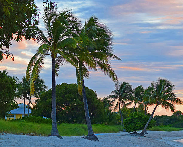 istock Sunrise at the Beach 627956150
