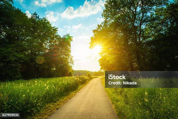 Grüne Feld An Einem Sonnigen Nachmittag Stockfoto und mehr Bilder von Einspurige Straße - Einspurige Straße, Sonnenaufgang, Straßenverkehr