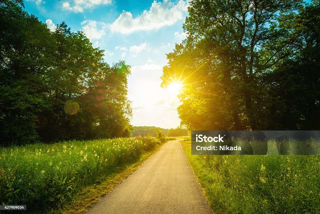 Green field on a sunny afternoon rural road on a sunny afternoon Single Lane Road Stock Photo