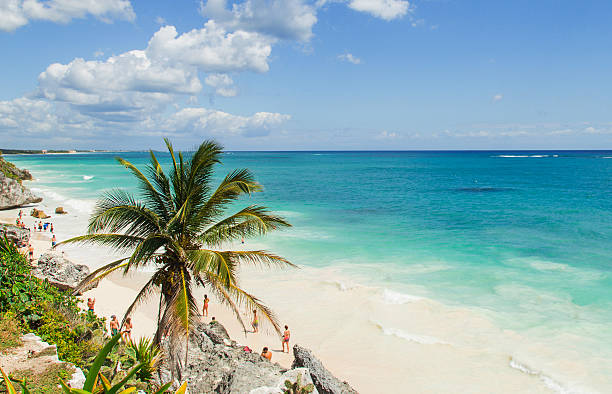 Beautiful beach on the Caribbean coast. Tulum, Mexico Beautiful beach on the Caribbean coast. Tulum, Mexico cozumel photos stock pictures, royalty-free photos & images