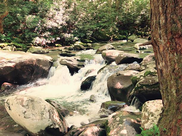 Great Smoky Mountain National Park Stream, Creek, Brook, Waterfall