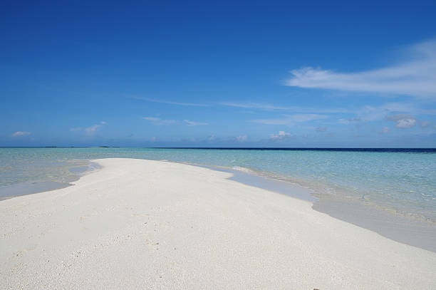 istock Golden Sand and Ocean 627975068
