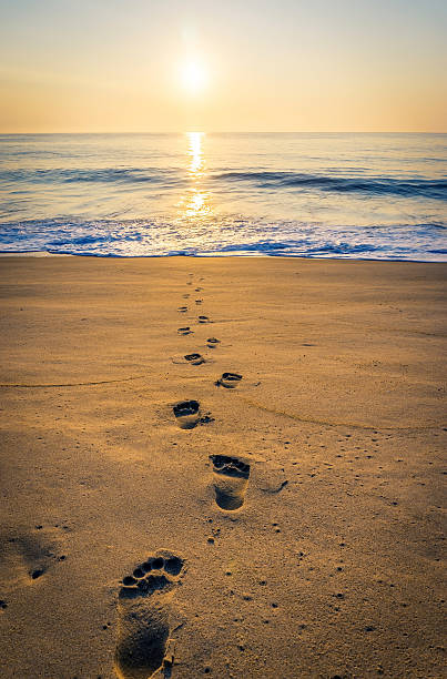 footprints am strand  - footprint sand sea beach stock-fotos und bilder