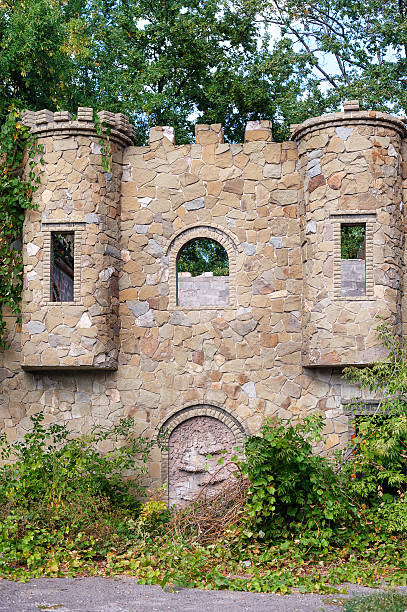 istock old overgrown with plants from the wild stone fortress 627983874