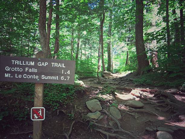 istock Trillium Gap Trail Grotto Falls Mt. Le Conte Trail Sign 627984702