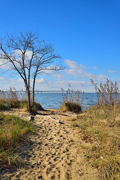 istock Chesapeake Bay Bridge Terrapin Park View 627984710