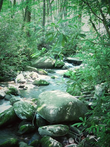 istock Great Smoky Mountain National Park Stream, Creek, Brook, Waterfall 627985990