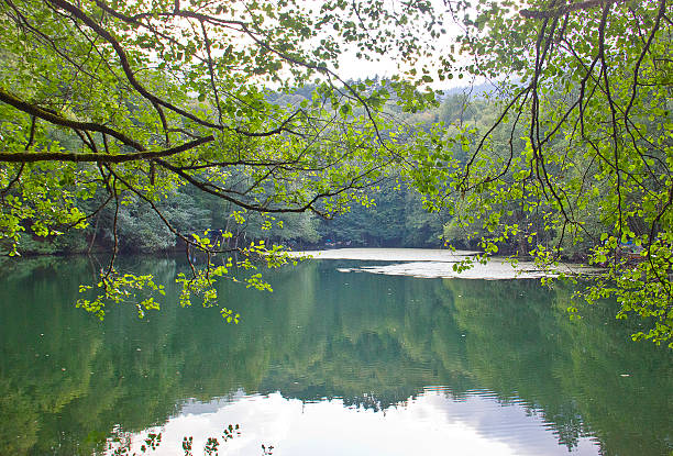istock Yedigoller Lake and Forest 627987620