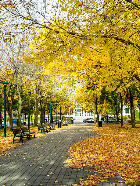 istock Casimir Dessaulles Park, St-Hyacinthe 627992854
