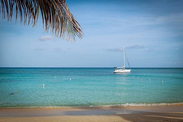 istock Beach of the Carribean 627996196