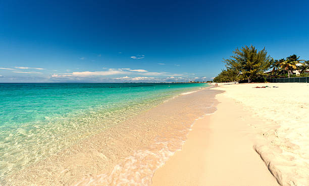 Seven miles beach on Grand Cayman Seven miles beach on Grand Cayman caiman stock pictures, royalty-free photos & images