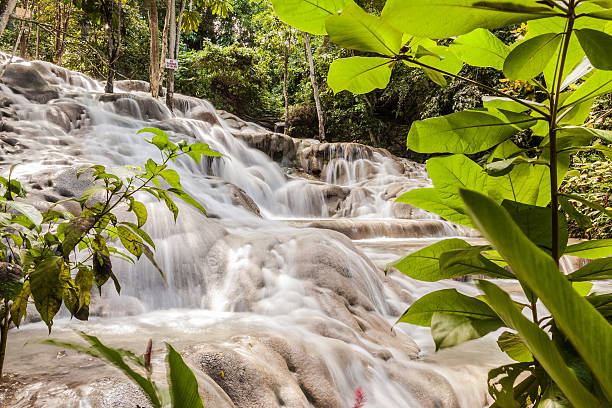 istock Dunn's River Falls in Jamaica 627997266